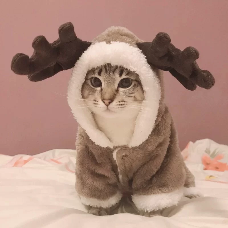 Roupas de inverno para Gato / Cachorro estilo Alce
